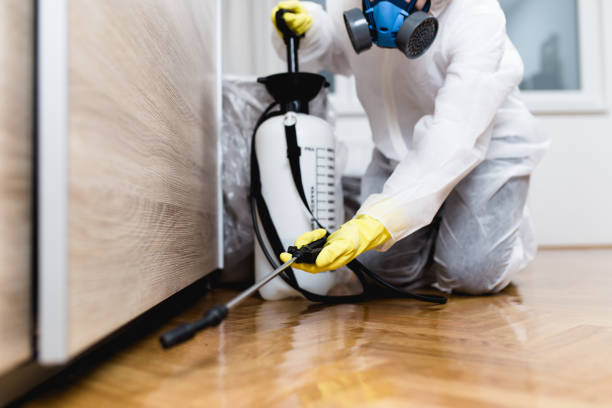 Best Wasp Removal Services  in Fairplay, GA