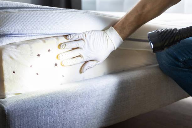 Best Emergency Pest Control  in Fairplay, GA