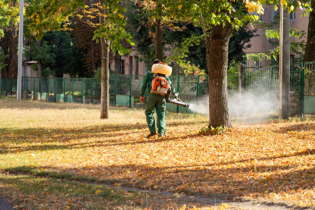 Best Wasp Removal Services  in Fairplay, GA